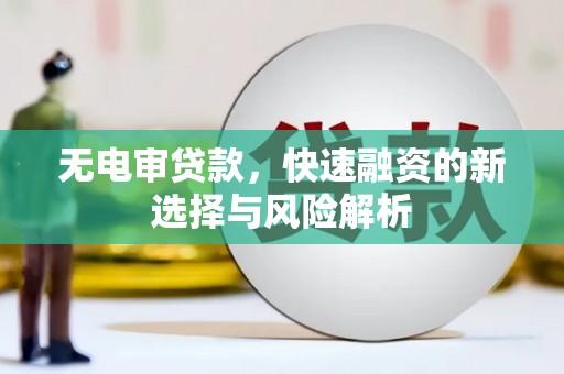 顺河无电审贷款，快速融资的新选择与风险解析