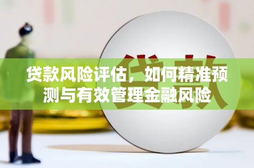 顺河贷款风险评估，如何精准预测与有效管理金融风险