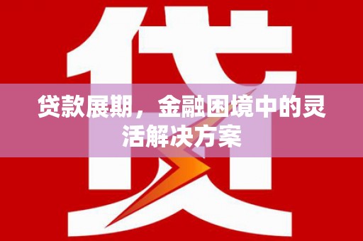 顺河贷款展期，金融困境中的灵活解决方案