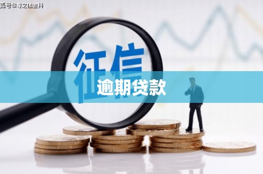 顺河逾期贷款