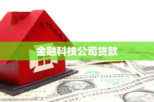 顺河金融科技公司贷款