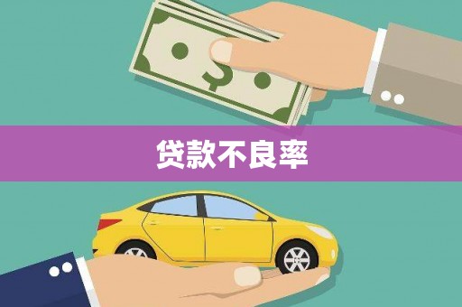 顺河贷款不良率