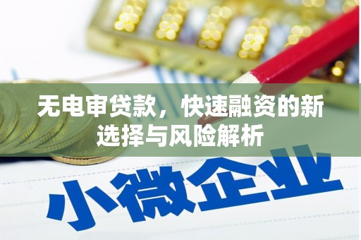 顺河无电审贷款，快速融资的新选择与风险解析