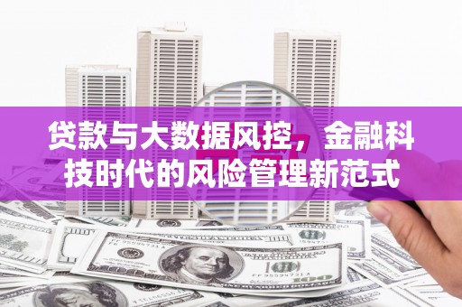 顺河贷款与大数据风控，金融科技时代的风险管理新范式