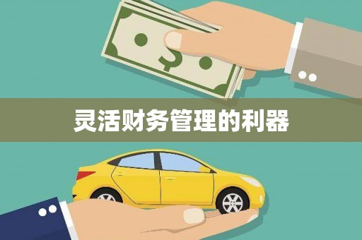 顺河灵活财务管理的利器