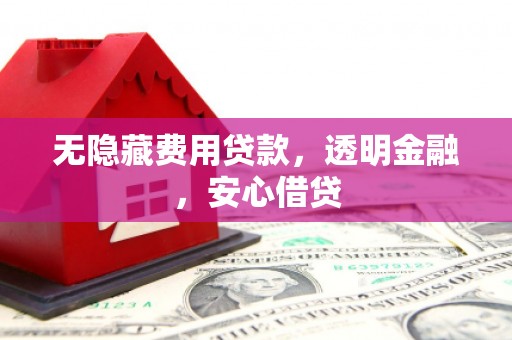 顺河无隐藏费用贷款，透明金融，安心借贷