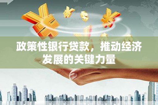 顺河政策性银行贷款，推动经济发展的关键力量