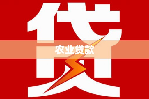 顺河农业贷款