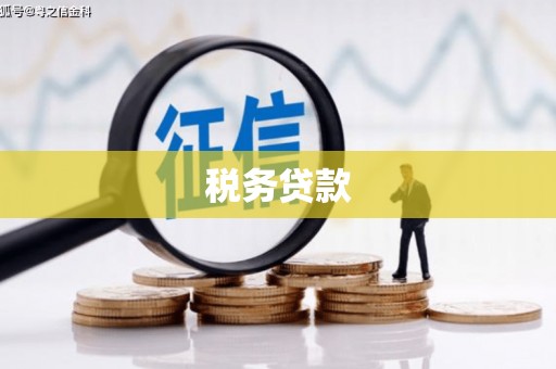 顺河税务贷款