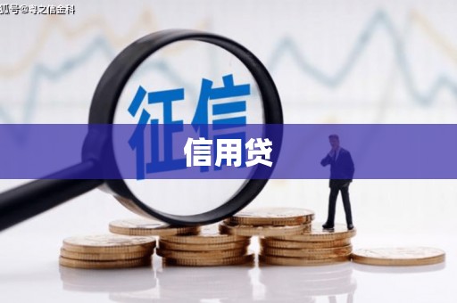 顺河信用贷