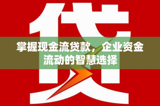 顺河掌握现金流贷款，企业资金流动的智慧选择
