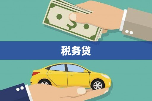 顺河税务贷