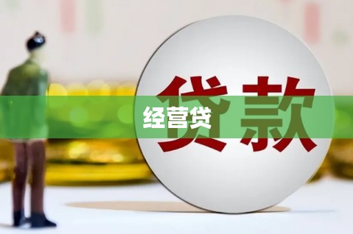 顺河经营贷