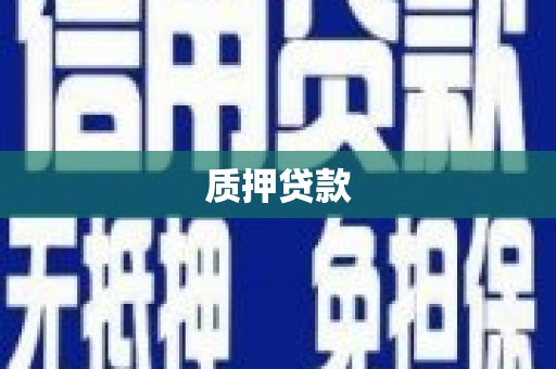 顺河质押贷款