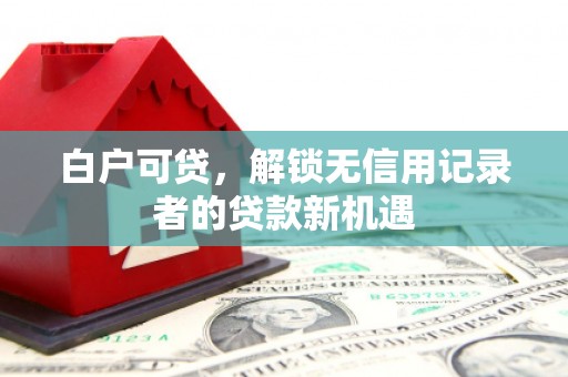 顺河白户可贷，解锁无信用记录者的贷款新机遇