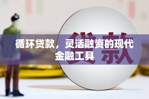 顺河循环贷款，灵活融资的现代金融工具