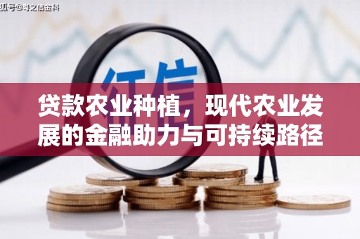 顺河贷款农业种植，现代农业发展的金融助力与可持续路径