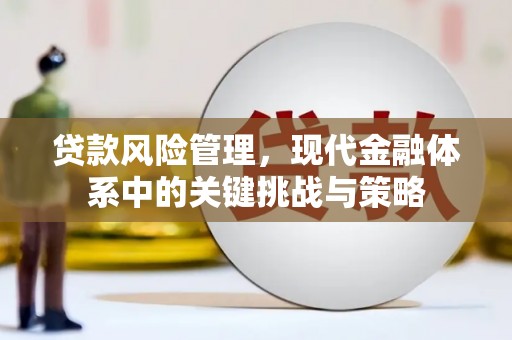 顺河贷款风险管理，现代金融体系中的关键挑战与策略