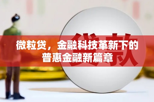 顺河微粒贷，金融科技革新下的普惠金融新篇章