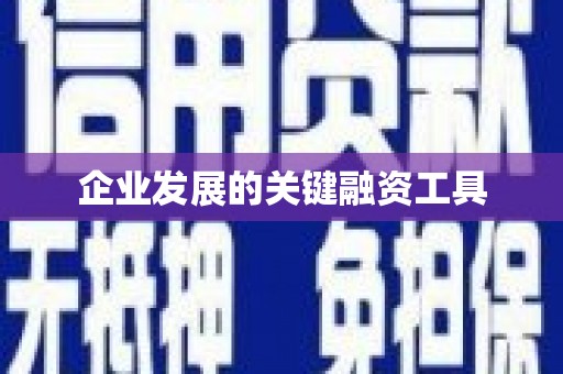 顺河企业发展的关键融资工具