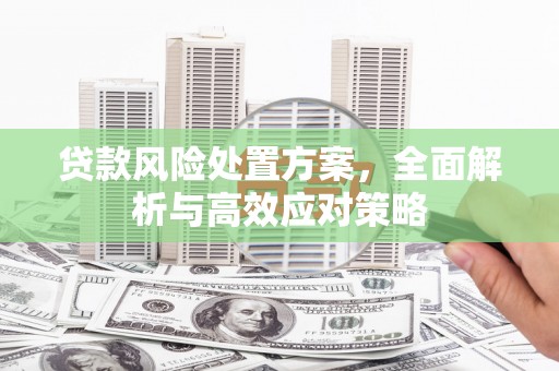 顺河贷款风险处置方案，全面解析与高效应对策略