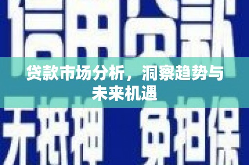 顺河贷款市场分析，洞察趋势与未来机遇