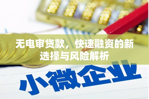 顺河无电审贷款，快速融资的新选择与风险解析