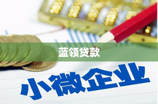 顺河蓝领贷款