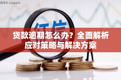 顺河贷款逾期怎么办？全面解析应对策略与解决方案