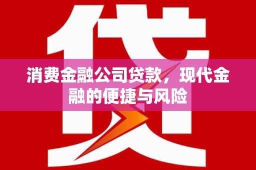 顺河消费金融公司贷款，现代金融的便捷与风险
