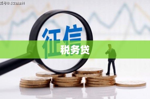 顺河税务贷