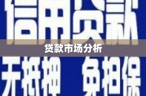 顺河贷款市场分析