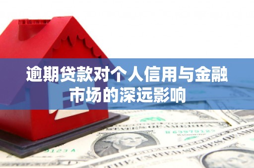 顺河逾期贷款对个人信用与金融市场的深远影响