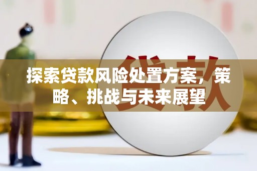 顺河探索贷款风险处置方案，策略、挑战与未来展望