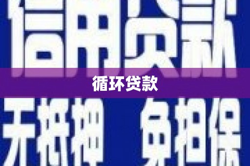 顺河循环贷款