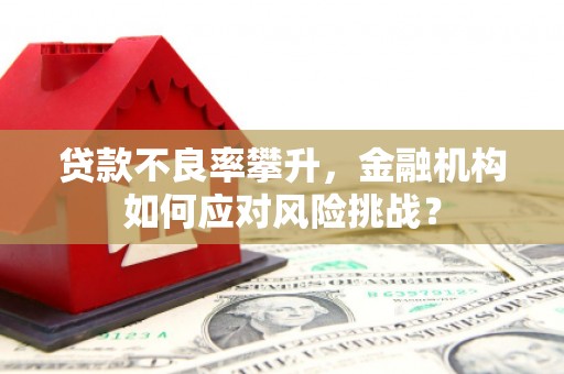 顺河贷款不良率攀升，金融机构如何应对风险挑战？
