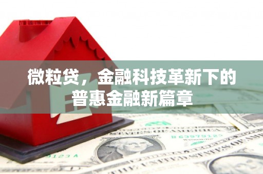 顺河微粒贷，金融科技革新下的普惠金融新篇章