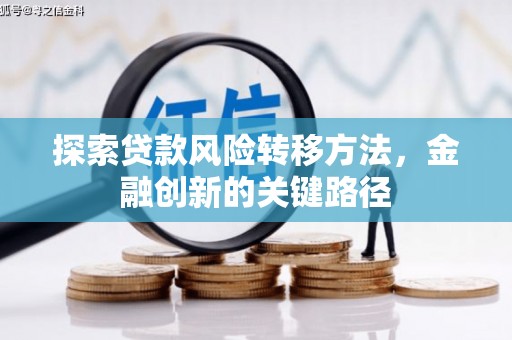 顺河探索贷款风险转移方法，金融创新的关键路径