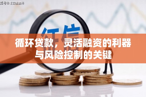顺河循环贷款，灵活融资的利器与风险控制的关键