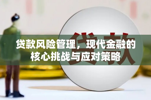 顺河贷款风险管理，现代金融的核心挑战与应对策略
