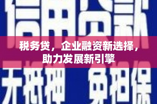顺河税务贷，企业融资新选择，助力发展新引擎