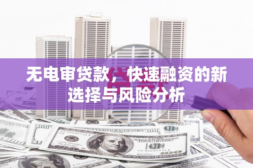 顺河无电审贷款，快速融资的新选择与风险分析