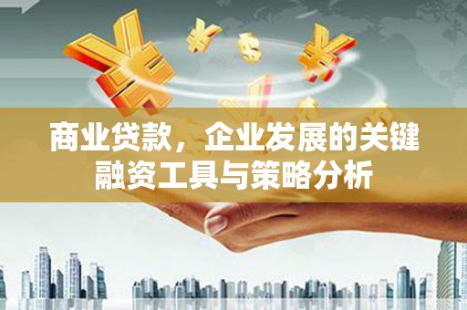 顺河商业贷款，企业发展的关键融资工具与策略分析