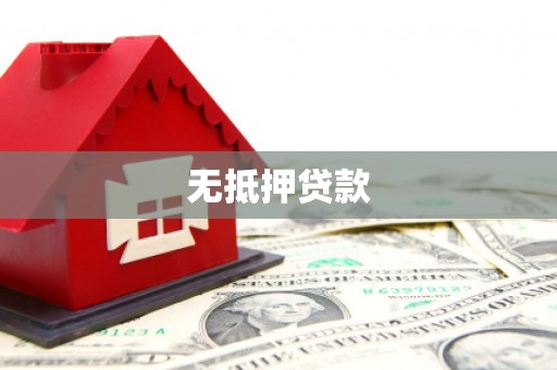 顺河无抵押贷款