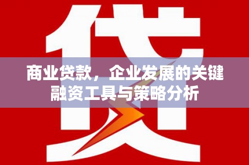 顺河商业贷款，企业发展的关键融资工具与策略分析