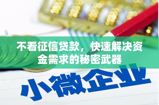 顺河不看征信贷款，快速解决资金需求的秘密武器