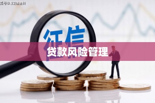 顺河贷款风险管理