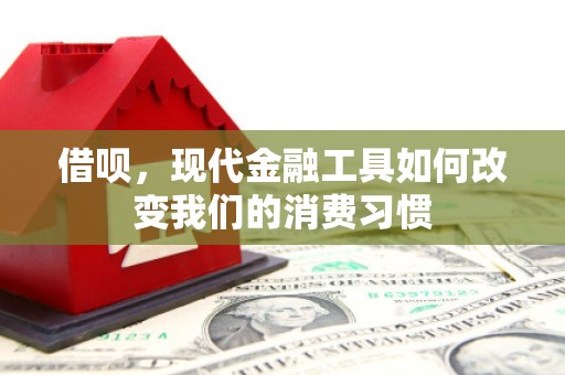 顺河借呗，现代金融工具如何改变我们的消费习惯