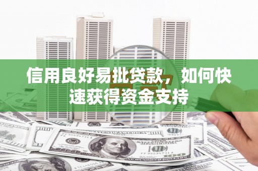 顺河信用良好易批贷款，如何快速获得资金支持