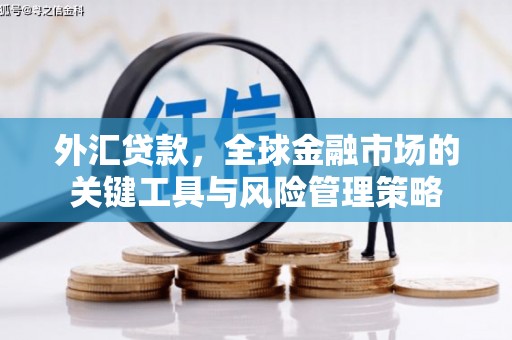 顺河外汇贷款，全球金融市场的关键工具与风险管理策略